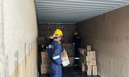 Transportation & Packing service